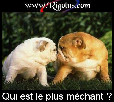 le plus mechant????